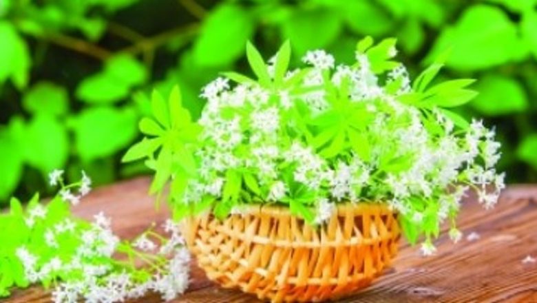 5 Leacuri Naturale pentru Alinarea Durerii Causate de Hernie: O Abordare Holistică