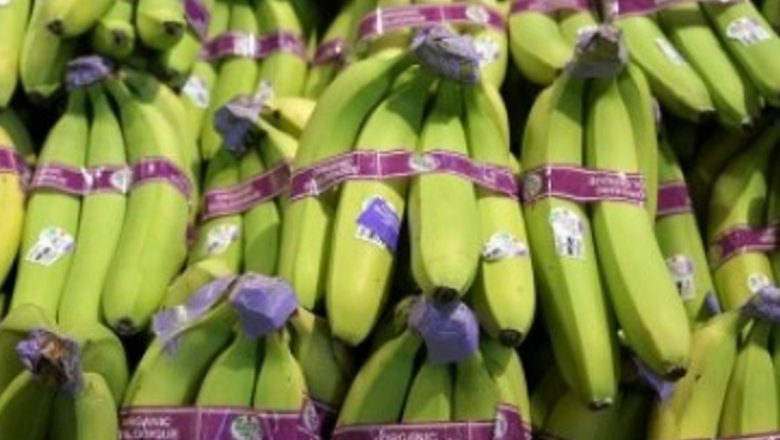 Dieta cu banane verzi: O analiză detaliată a regimului de slăbire japonez