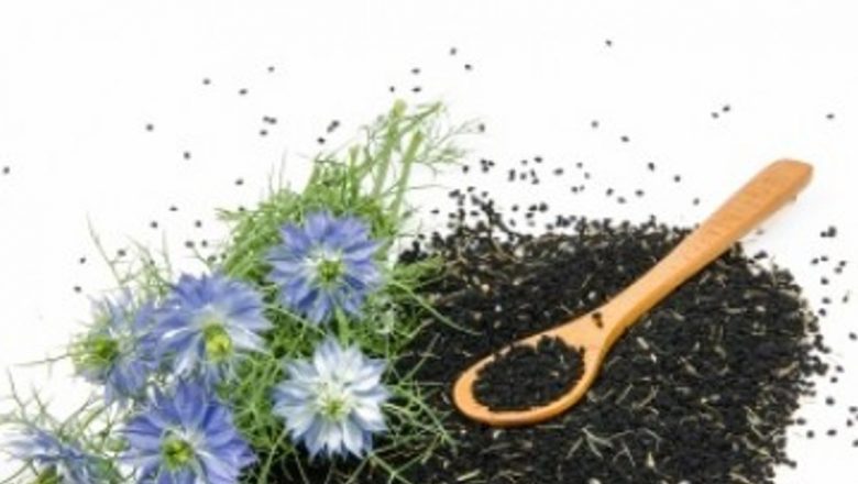 Negrilica: Planta cu multiple beneficii pentru sănătate și frumusețe
