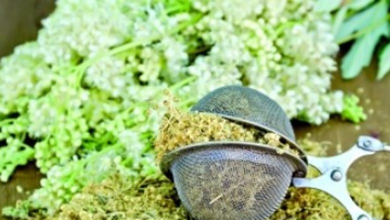 Leacuri din natură pentru sindromul premenstrual: soluții eficiente pentru un disconfort comun