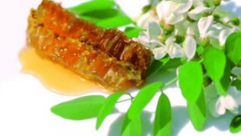 Salcâmul: Remediu Natural pentru Sănătate și Stare de Bine