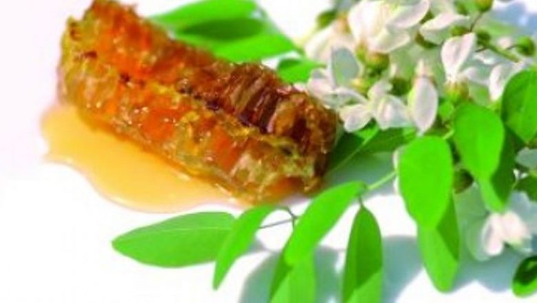 Salcâmul: Un Remediu Natural pentru Nevroze, Probleme Gastrointestinale și Tusea Expectorantă