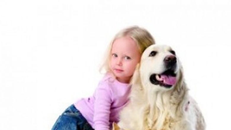 Zoonoze: Boli Transmise de Animalele de Companie și Impactul Asupra Sănătății Umane
