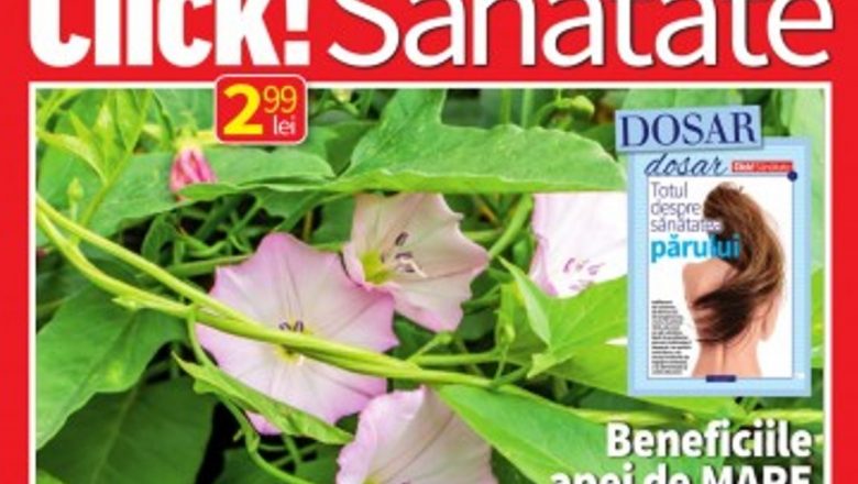 Explorarea Sănătății: Cele Mai Noi Informații și Tendințe din Numărul de August al Revistei Click! Sănătate