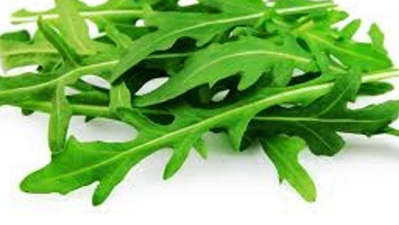 Rucola: Superalimentul cu Beneficii Terapeutice Remarcabile pentru Organism