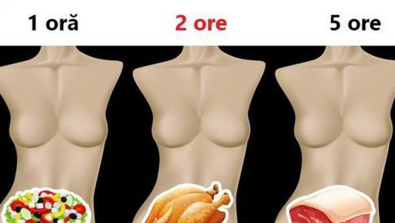 Timpul de digestie al alimentelor: Ce trebuie să știm pentru o dietă sănătoasă