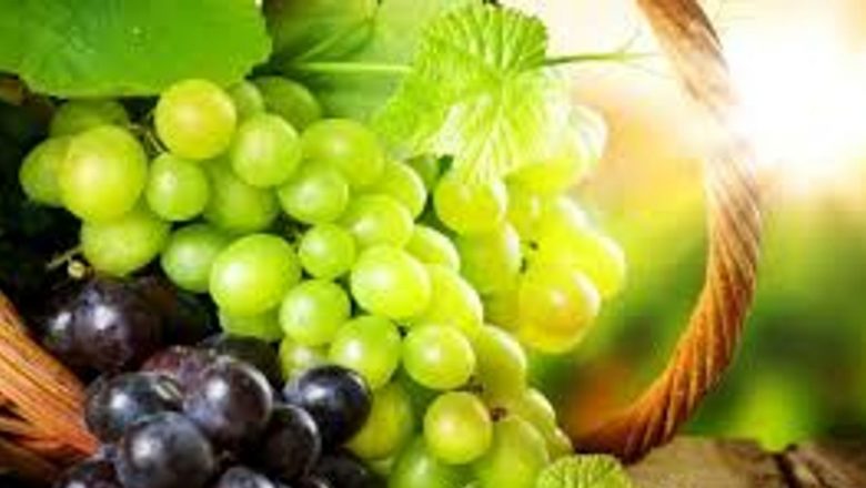 Strugurii și Mustul: Superalimentele Toamnei și Beneficiile Lor pentru Sănătate