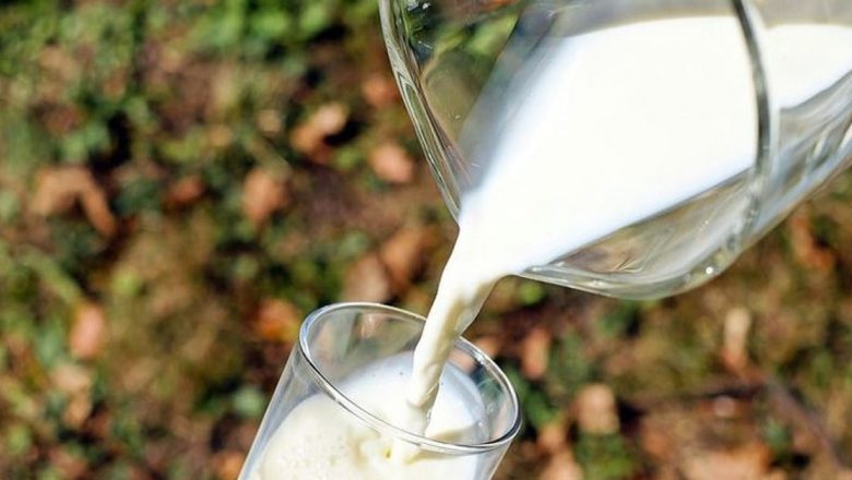 Ghidul Complet al Alimentației pentru Persoanele cu Intoleranță la Lactoză: Ce Mănânci și Cum Te Menții Sănătos