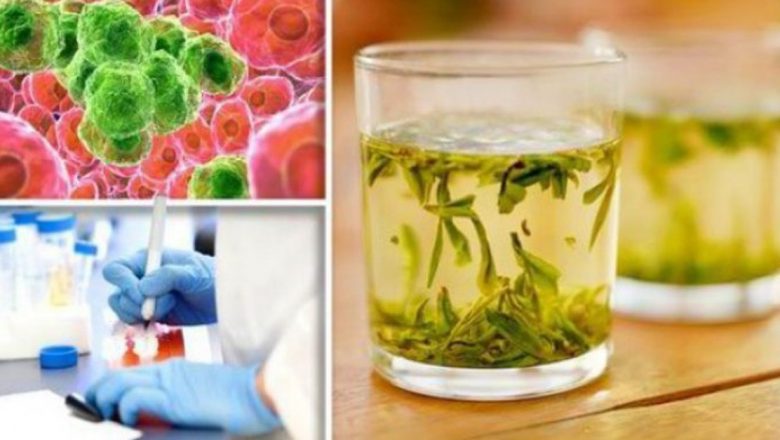 Ceaiul de păpădie: O soluție naturală promițătoare în lupta împotriva cancerului
