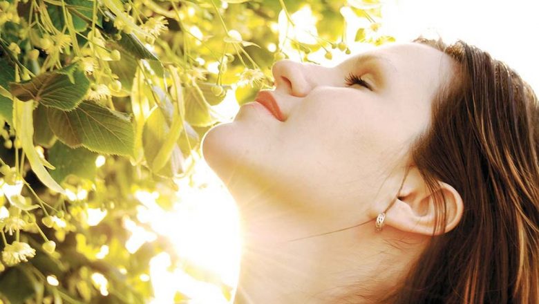 Remedii Naturale Eficiente Împotriva Răcelii: Tei, Nalbă și Lichenul de Piatra