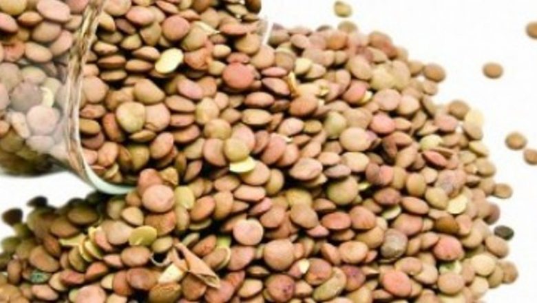 Beneficiile lintei: O comoară nutrițională pentru sănătatea organismului, mai ales în perioada postului