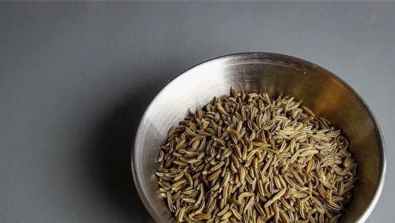 Planta Miraculoasă: Cum un Condiment Biblic Poate Schimba Vista Asupra Sănătății