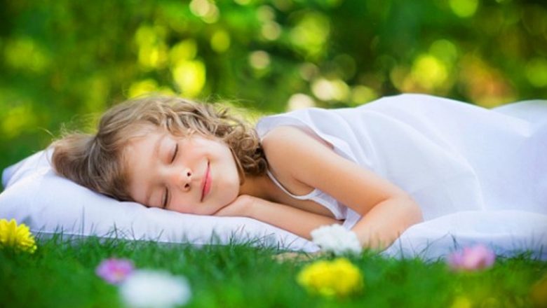 Plantele care Te Ajută să Dormi: Secretele Naturii pentru un Somn Odihnitor
