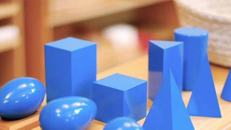 Educația Montessori: O Fundamentare a Succesului pentru Liderii de Mâine