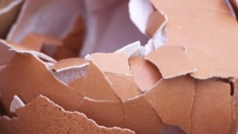 Cojile de ou: Un superaliment uitat, plin de beneficii pentru sănătate