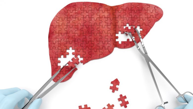 Ficatul: Organ Vital cu Funcții Multiple și Provocările Sănătății Hepatice