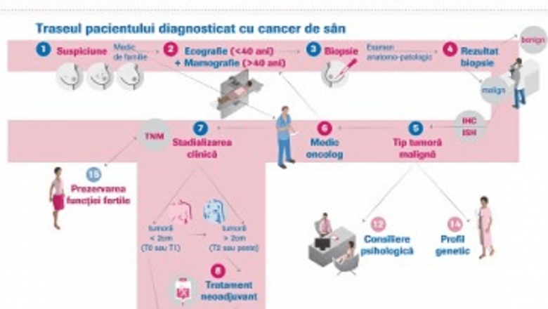 Navigatorul pentru Pacientele cu Cancer de Sân: O Resursă Vitală în Lupta Împotriva Bolii