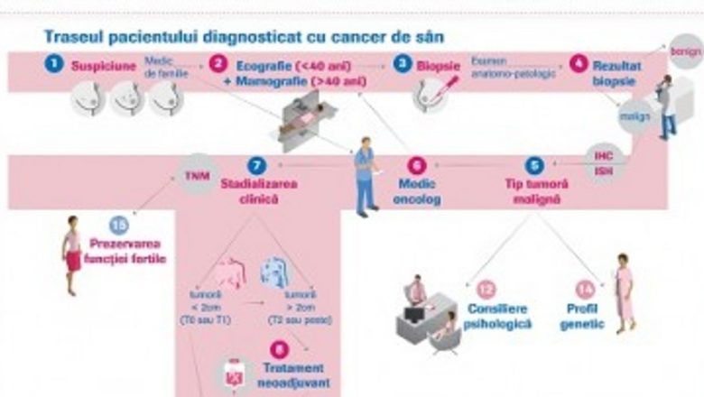 Ghidul pentru Pacientele cu Cancer de Sân: O Resursă Esențială în Lupta cu Boala