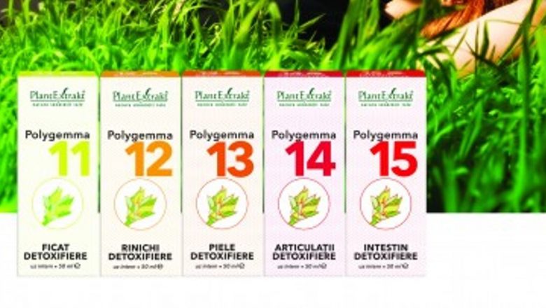 Detoxifierea Organismului prin Gemoterapie: O Abordare Naturală și Eficientă