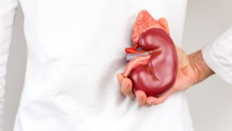 Prevenirea pietrelor la rinichi: strategii eficiente și perspective medicale
