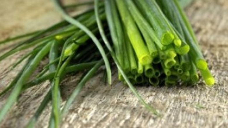 Ceapa: Superalimentul cu Beneficii Multiple pentru Sănătate