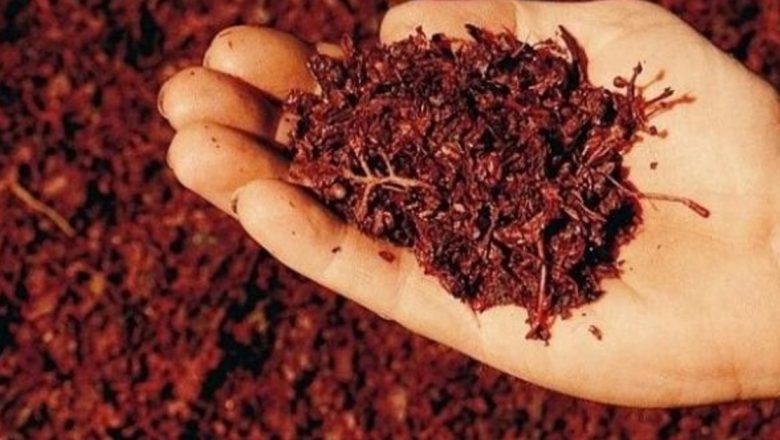Tinctura de Tescovină: Elixirul Tinereții și Antidotul pentru Cancer în Tradiția Românească