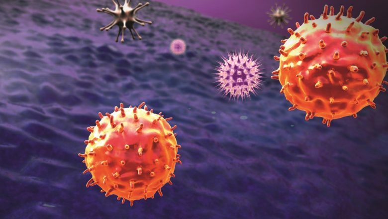 Cancerul: O privire amplă asupra cauzelor, tipurilor și impactului asupra sănătății publice