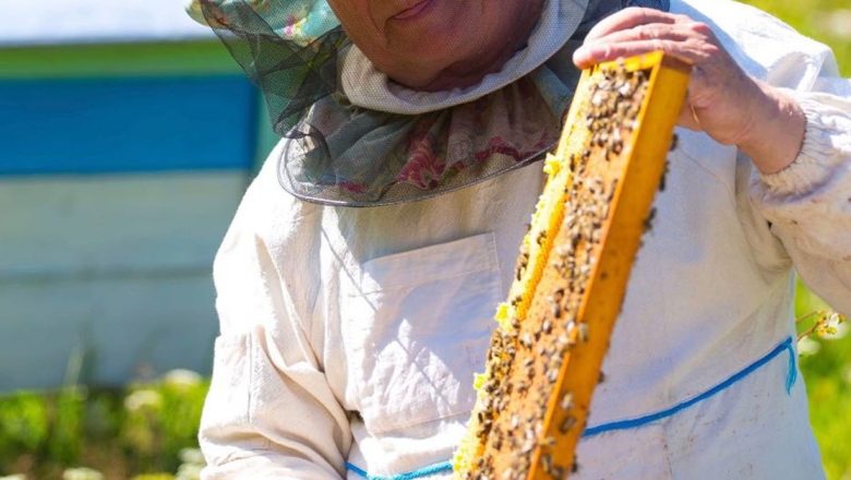 Produse Apicole: Soluții Naturale pentru Bolile de Ficat