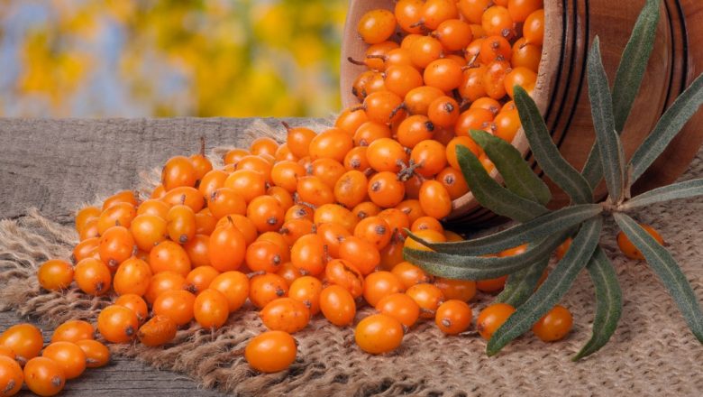 Leacuri Naturiste pentru Boli Hepatice: O Analiză Detaliată a Remediilor din Natură