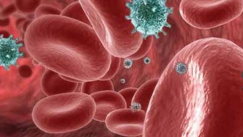 Impactul bacteriei Fusobacterium nucleatum asupra sănătății: O legătură între igiena orală și cancerul colorectal