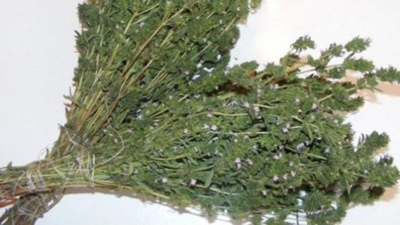 Ceașca de sănătate: Plantele medicinale eficiente pentru vindecarea laringitei