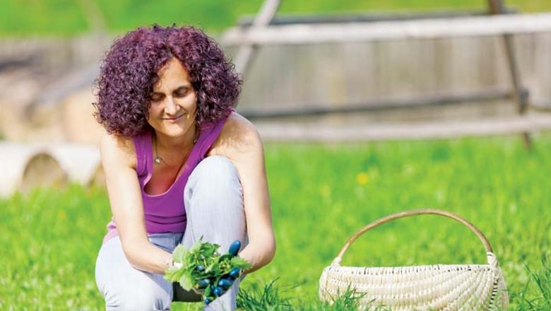 Urzicile: Superalimentul Naturii în Combaterea Anemiei și Nu Numai