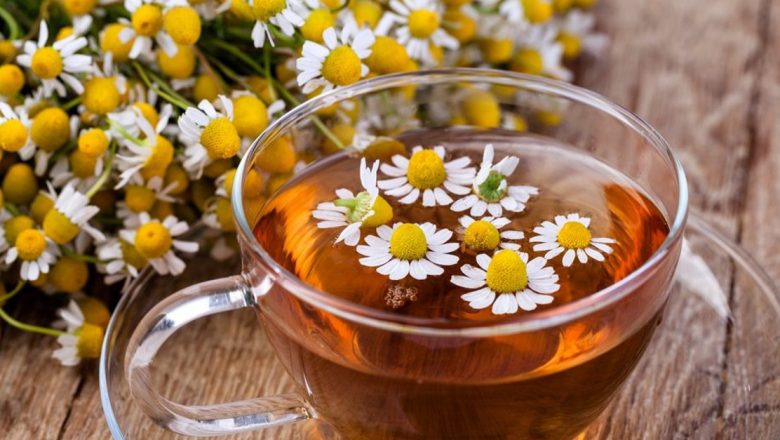 Plantele Medicinale care Îți Sprijină Digestia după Mesele Îmbelșugate de Paște