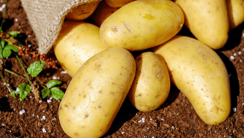 Alimente bogate în amidon: Ghid complet pentru o dietă echilibrată