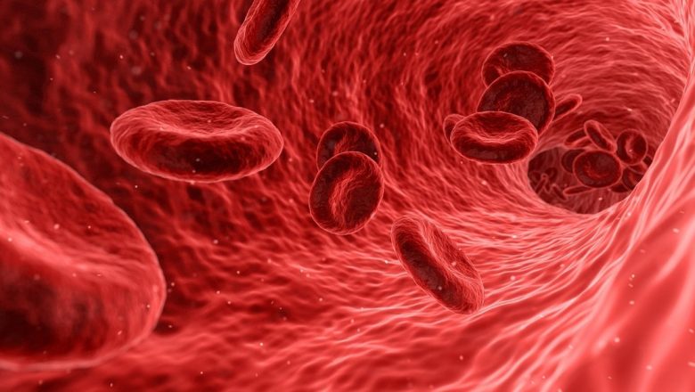 Importanța Donării de Celule Stem Hematopoietice: O Sursă de Speranță pentru Pacienții cu Cancere de Sânge