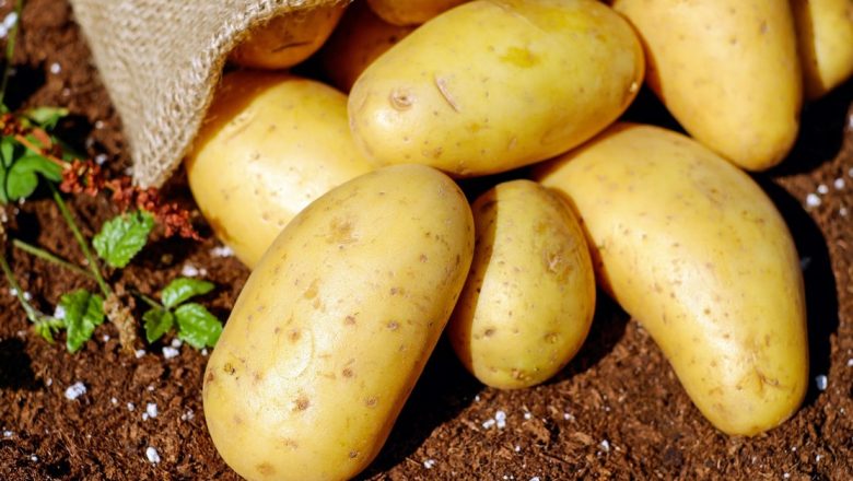 Alimente bogate în amidon: Ghid complet pentru o dietă sănătoasă