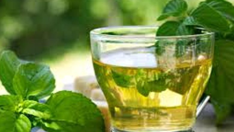 Aroma frunzelor de mentă: Un stimulent natural pentru starea de spirit și puterea de concentrare