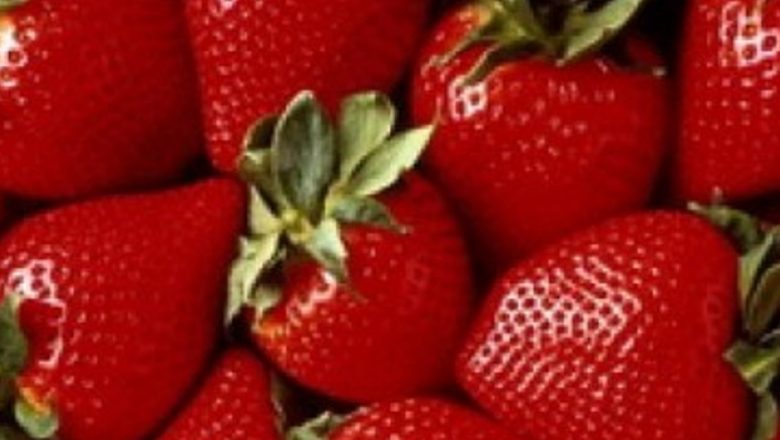 Beneficiile dietei cu căpșuni: Cum să slăbești sănătos și eficient
