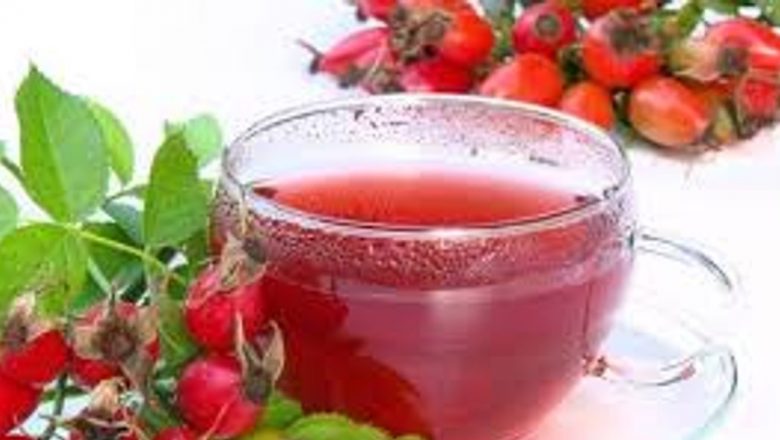 Merișorul: Un Remediu Natural cu Proprietăți Terapeutice Remarcabile
