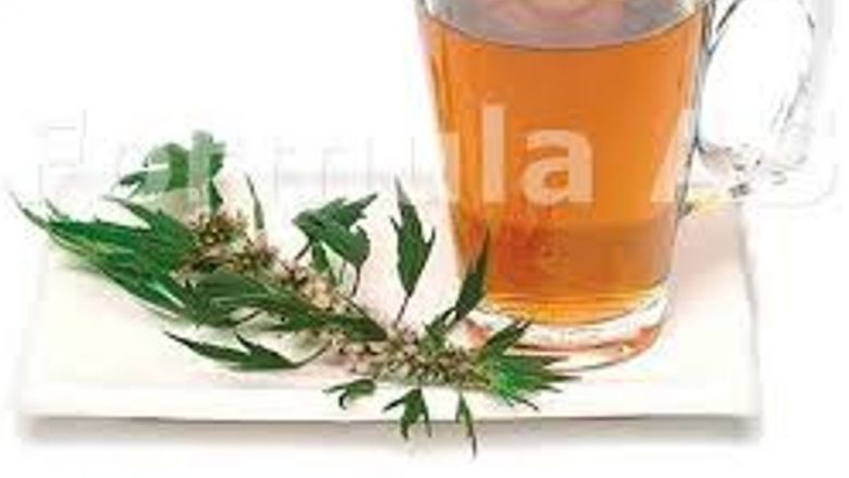 Talpa gâștei: O soluție naturală pentru sănătatea inimii și echilibrul tensiunii arteriale