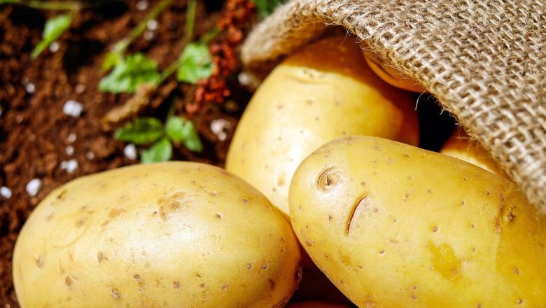 Cartoful: Alimentul Esențial pentru un Post Sănătos și Echilibrat