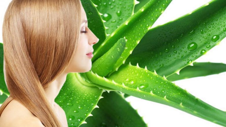 Plantele Medicinale care Transformă Părul: Soluții Naturale pentru o Podoabă Capilară Desăvârșită