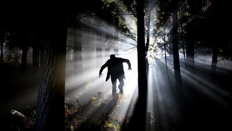 Cauzele psihopatiei: O analiză profundă a factorilor care modelează comportamentele deviante