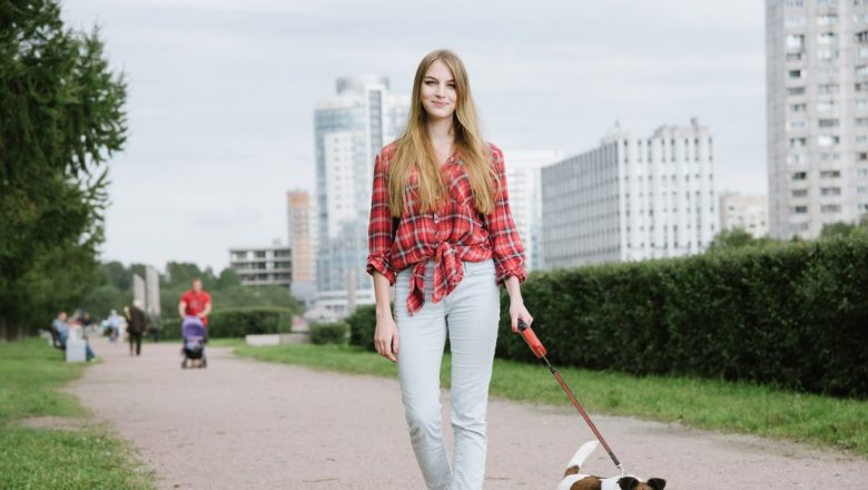 Câinii: Cei mai buni prieteni ai inimii tale – Cum animalele de companie ne îmbunătățesc sănătatea cardiovasculară