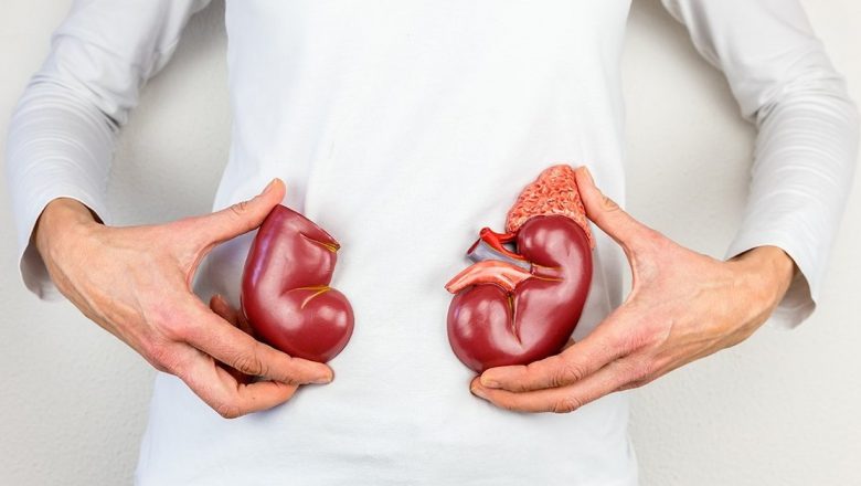 Semnele alarmante care indică suferința rinichilor: Ce trebuie să știi