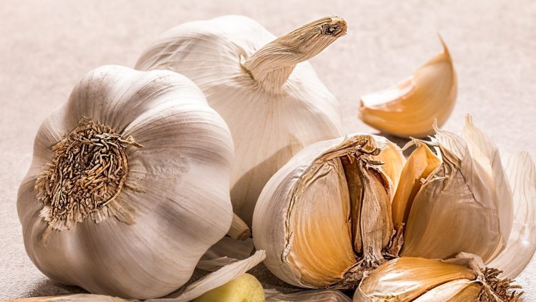Usturoiul: Antibioticul Natural cu O Istorie de Supraviețuire și Beneficii pentru Sănătate