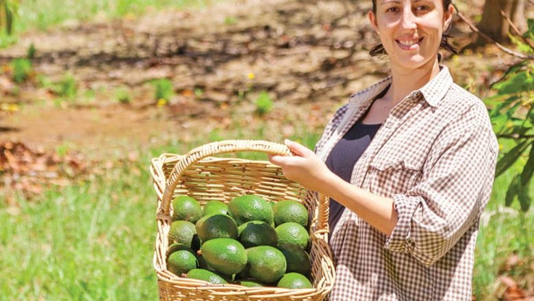 Cele 5 Surse de Potasiu Esențiale pentru o Dietă Sănătoasă: Beneficii și Impact Asupra Sănătății