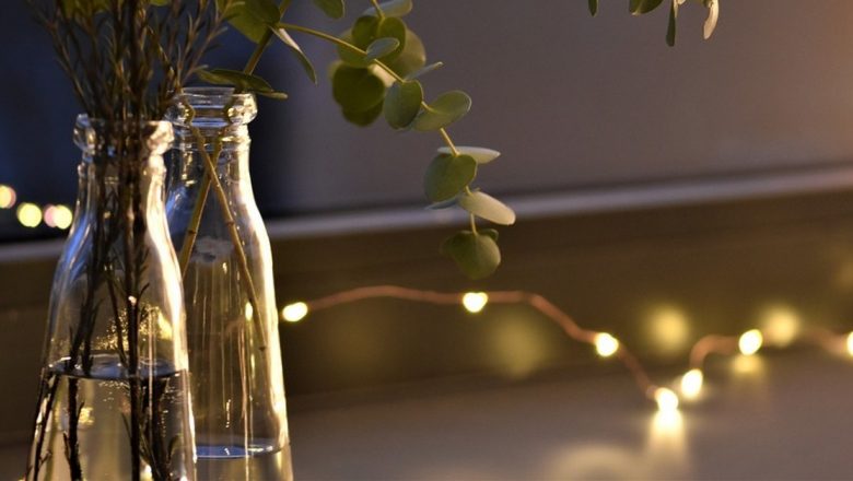 Eucaliptul: O Plantă Medicinală cu Beneficii Remarcabile pentru Sănătate