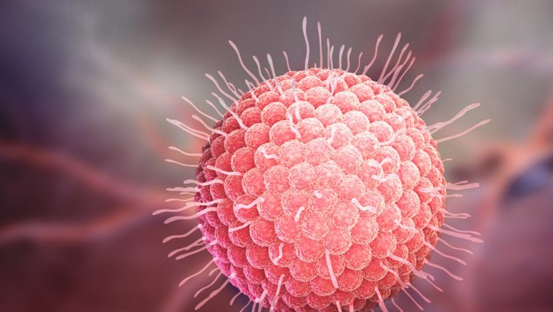 Zona Zoster: Tot Ce Trebuie Să Știi Despre Această Infecție Virală