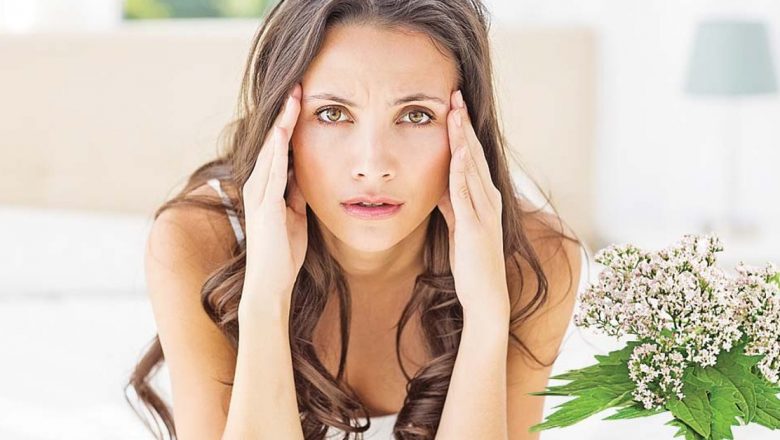 Valeriana și Alte Plante: Soluții Naturale Eficiente pentru Anxietate